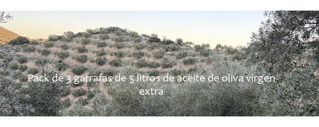 AOVE Pack 3 Garrafas 5L