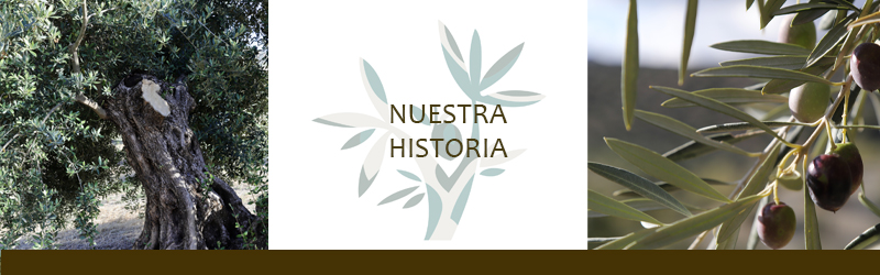 Nuestra Historia
